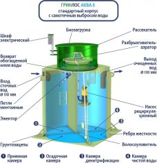 ГРИНЛОС Аква 8