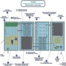 Гринлос БМ Норд 300