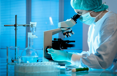 Лаборатории